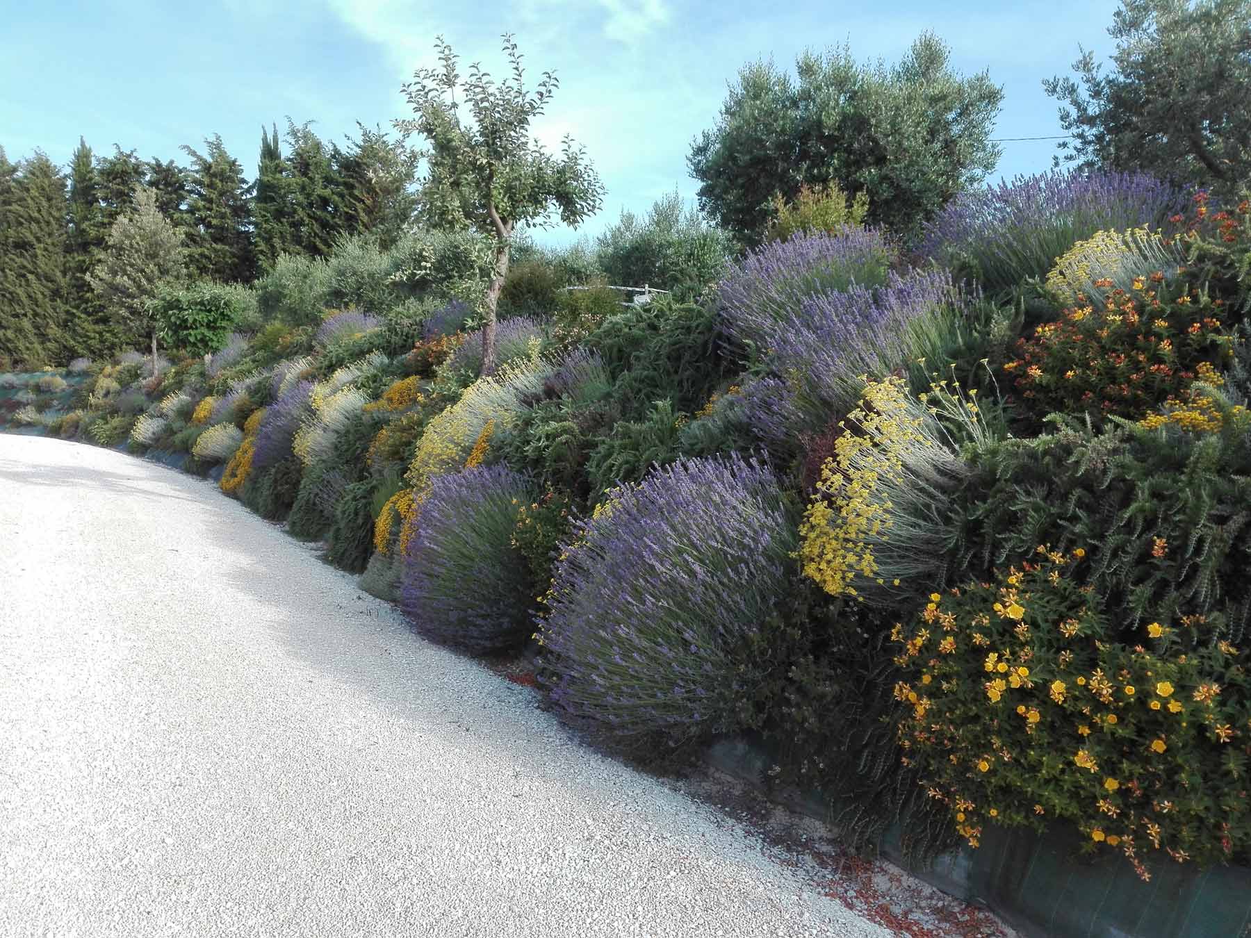 Realizzazione giardini Ancona