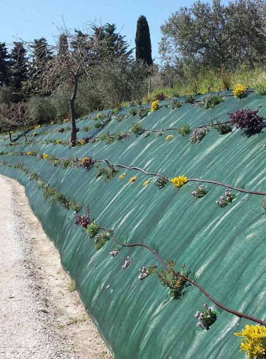 Realizzazione giardini Ancona