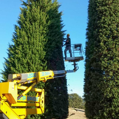 Realizzazione giardini Ancona