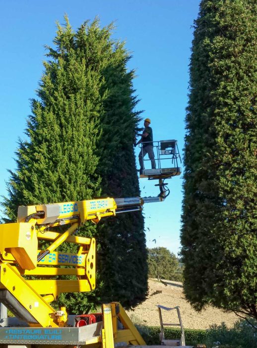 Realizzazione giardini Ancona