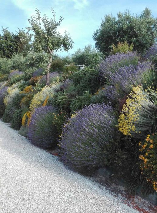 Realizzazione giardini Ancona