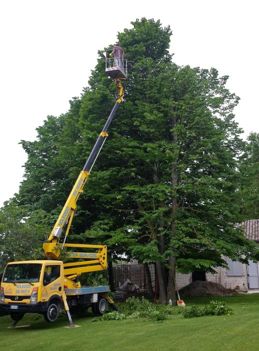 Realizzazione giardini Ancona