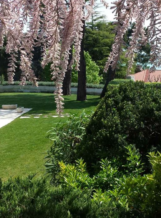Realizzazione giardini Ancona