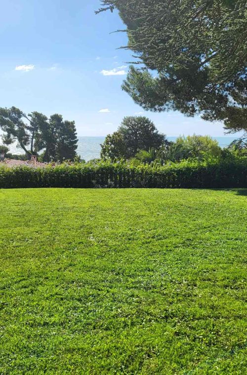 Master Services Garden