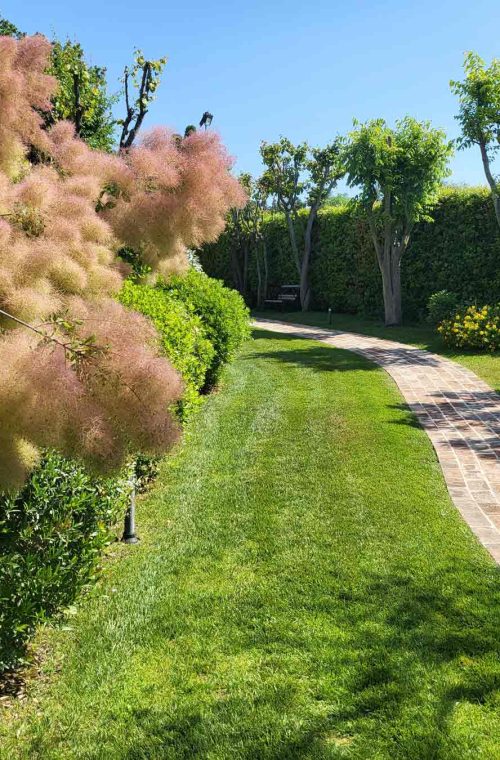 Master Services Garden