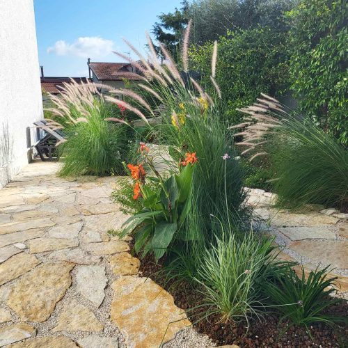 Master Services Garden